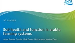 East Midlands: Soil health and function in arable farming systems